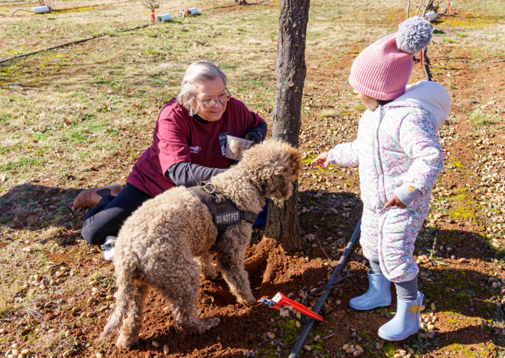 Macenmist Black Truffles and Wines
