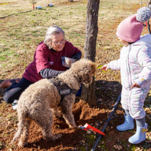 Macenmist Family Friendly Truffle Hunt