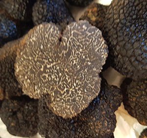 Fresh Black Truffles