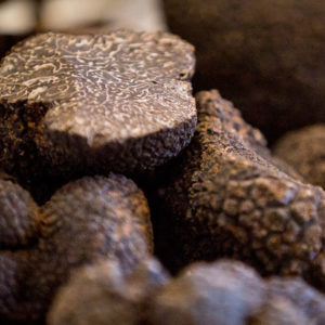 Fresh Black Truffles