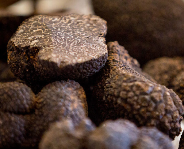 Fresh Black Truffles