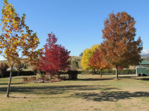 View from front of Macenmist residence in Autumn