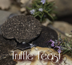 Truffle Feast
