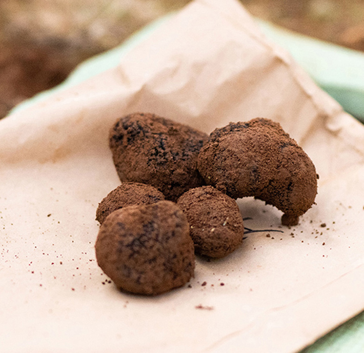 Macenmist Black Truffles