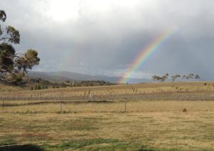 Rainbow over the Truffiere