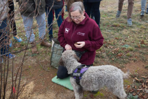 Truffle dog "Tawdiffu" finds truffle