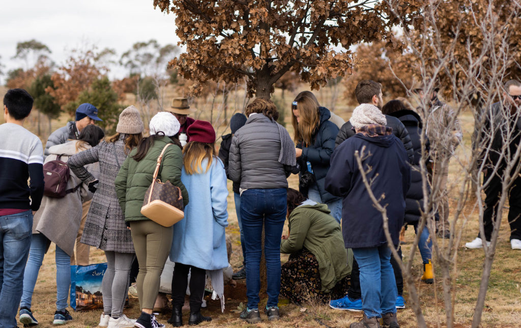 Macenmist Black Truffle hunting group