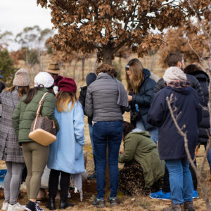 Macenmist Black Truffle hunting group